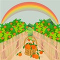 Orange garden green landscape wood fence path rainbow basked with fruit blue sky flat design art design Royalty Free Stock Photo